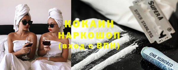бошки Бородино