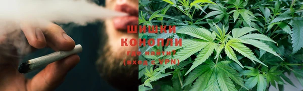 бошки Бородино