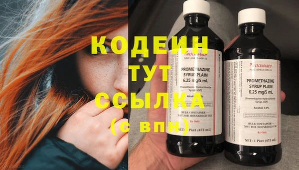 бошки Бородино