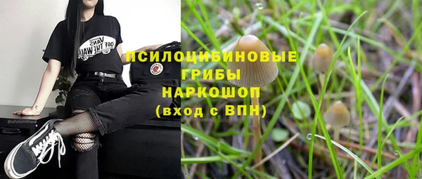 гидропоника Бугульма